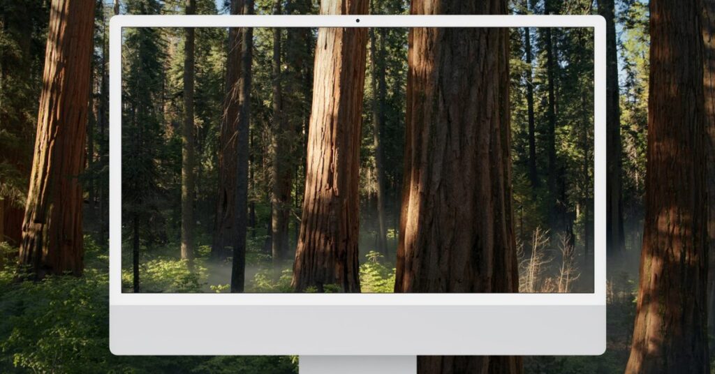 macos-sequoia-beta-5-adds-a-new-wallpaper-–-and-you-can-download-it-here