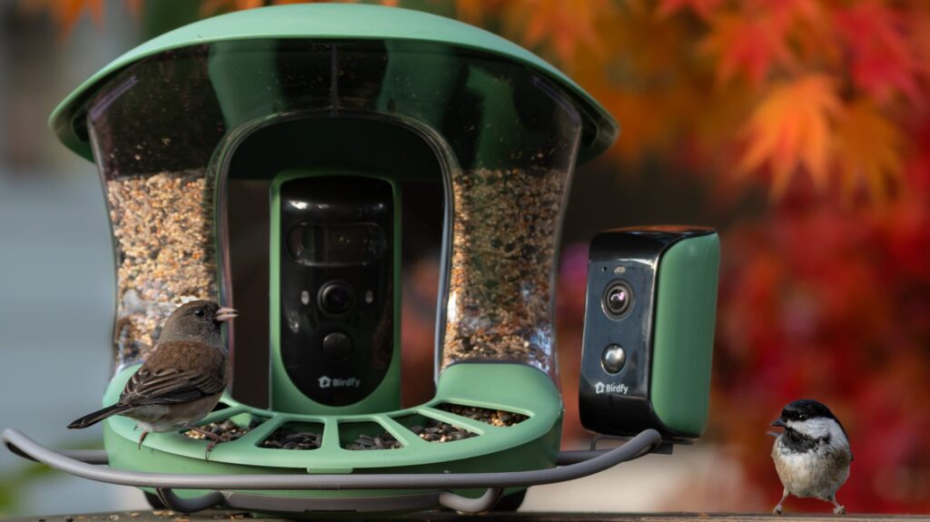 birdfy-debuts-camera-equipped-bird-bath-and-multi-camera-bird-feeder